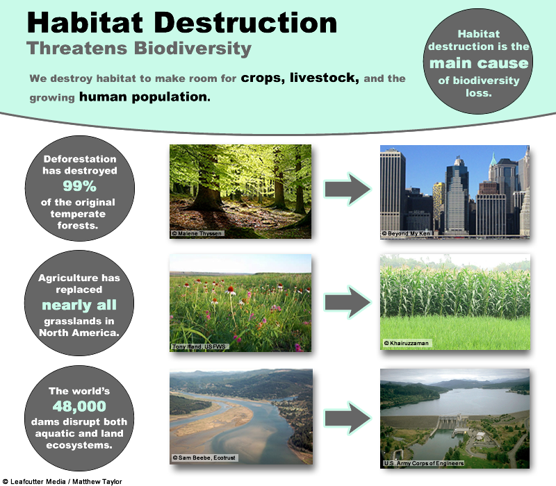 the-importance-of-preserving-habitat-biology-socratic